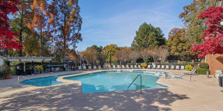 Sugar Mill Apartments Gallery 11