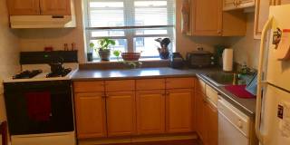 Nice 1 bed in Oak Square Gallery 10