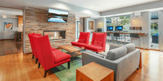 Blue and Lime Gallery 18