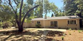 Remodeled one story home in highly desirable Alamo with huge park like yard ! Remodeled one story home in highly desirable Alamo with huge park like yard ! Gallery 32
