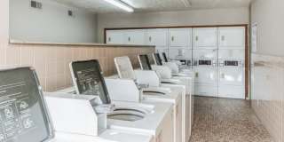 Bellevue Gardens Gallery 19