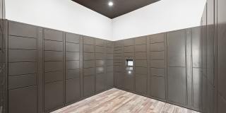 Asheville at Spring Branch Gallery 16