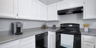 Sandalwood Garden Gallery 13