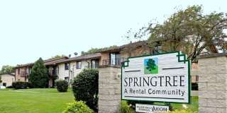 Springtree Gallery 12