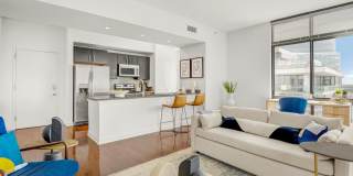 Ellis Bethesda Gallery 30