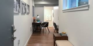 1 Bed 1 Bath Capitol Hill Condo! Rooftop + Gym Access Gallery 3