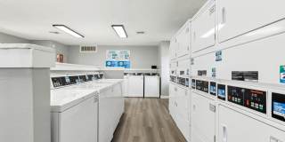 Stonehill Gallery 35