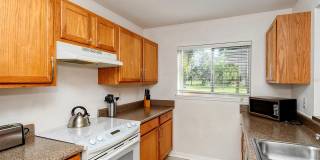 1877 TOUCAN WAY Gallery 15