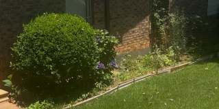 2822 Chelsey Trl Gallery 1