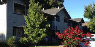 Cameo Village Gallery 1