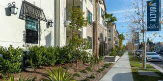 Altura at the Groves Gallery 4