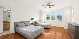 18218 Senteno Gallery 11