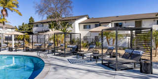 Vista Waterleaf Apartments Gallery 39