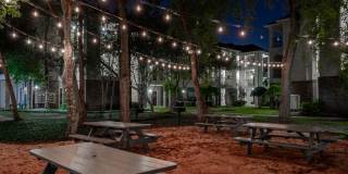 Westchase Forest Gallery 24
