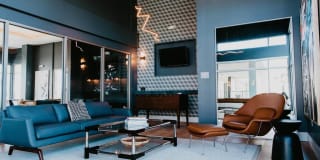 Tanager Tanager Gallery 47