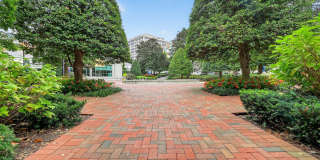 5500 FRIENDSHIP unit: 1509N 5500 FRIENDSHIP unit: 1509N Gallery 7