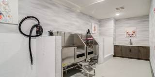 The Tomlin Gallery 26