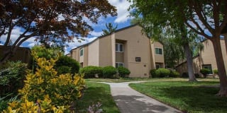 Juniper Apartments Gallery 17