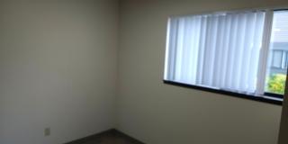 srsl01* Gallery 5