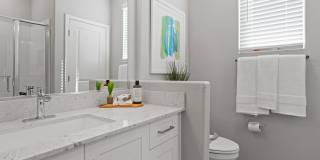 Sienna at South Mountain Gallery 11