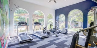 The Boulevard At Town Lake Gallery 21