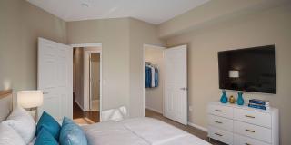 Lake Hazeltine Gallery 5