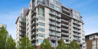 1100 106th Ave. NE #212 Gallery 1
