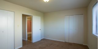 Swift at Riverdale Park Gallery 19