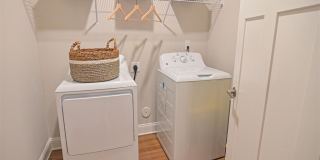 Hawthorne at Pine Forest Gallery 53