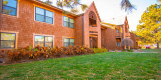 Adriana Court Gallery 7