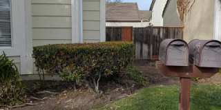 34065 Gannon Terrace Gallery 32