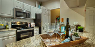 Stonebridge Ranch Gallery 5