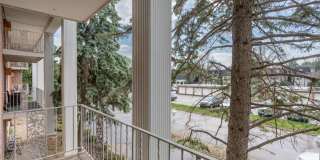 Charlton Park Gallery 37