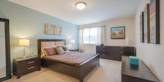 The Amberleigh Gallery 31