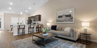 Redwood Holland Gallery 12