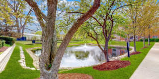 The Green at Chevy Chase Gallery 9