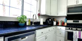 7176 Hillcroft Way Gallery 16