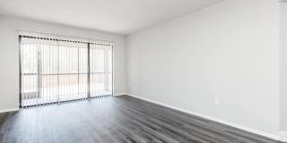 Solana Vista Gallery 55