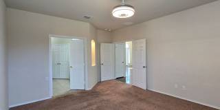 COMING SOON! Gallery 11