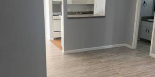 Courtyard Villas Apartments Gallery 13