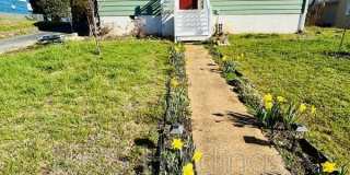 1103 Forest Hills Ave 1103 Forest Hills Ave Gallery 1