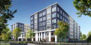 Alexan Waltham Gallery 41