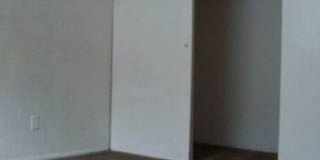 **Spacious 4 Bedroom Home in the Heart of Tempe!** Gallery 6