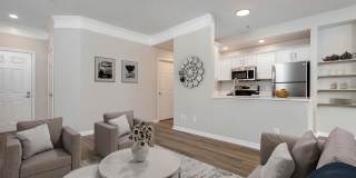 The Orchard Gallery 3