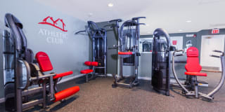 TGM Willowbrook Gallery 23