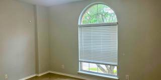 Spacious 4 Bedroom Home with Covered Patio in Cibolo Gallery 16