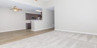 Springhill Ridge Gallery 2