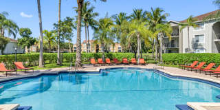 Coral Vista Gallery 20