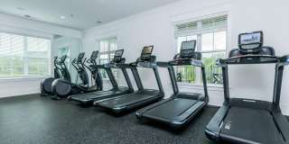 Southaven at Commonwealth Gallery 5