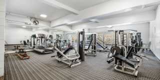 Sunny Corner Condo in the Heart of Capitol Hill | 2 Bed • 2 Bath • 795 Sq. Ft. Gallery 25
